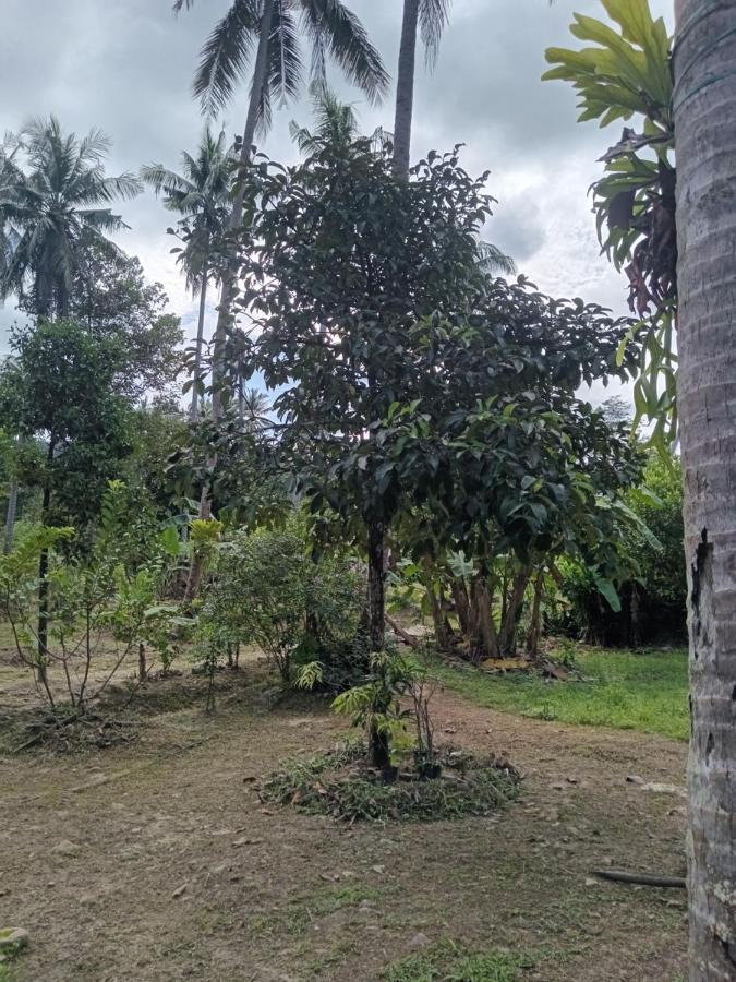 Chom Suan Farmstay Ko Kut Eksteriør billede