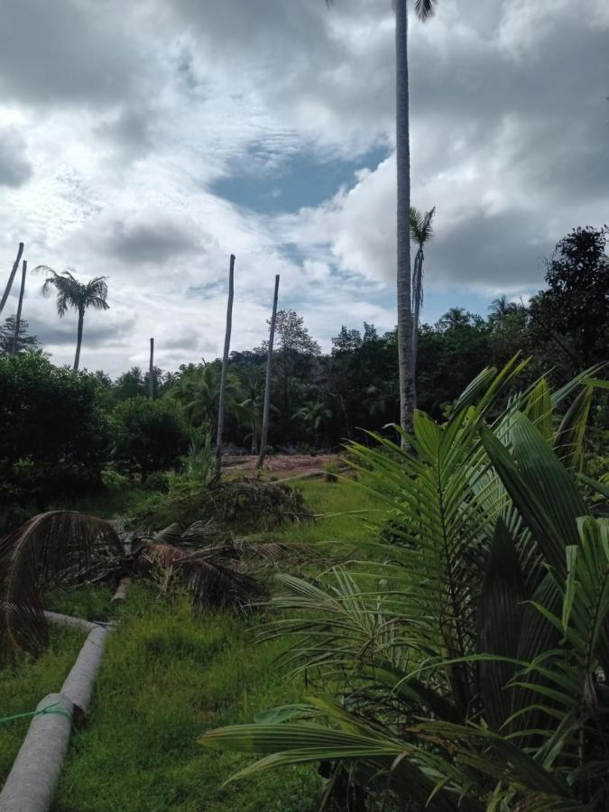 Chom Suan Farmstay Ko Kut Eksteriør billede