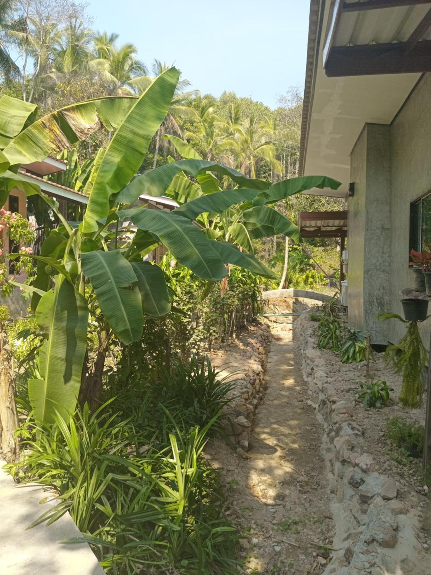 Chom Suan Farmstay Ko Kut Eksteriør billede